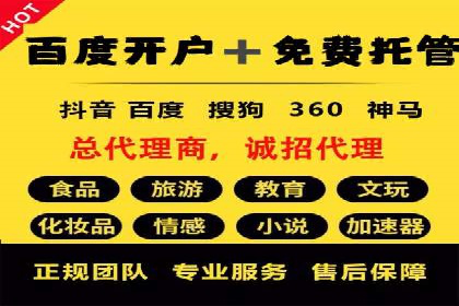 SEM服务托管实战案例分析报告
