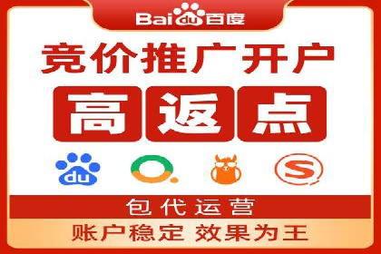 竞价推广实战：案例分析行业领军企业的成功之道